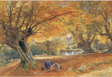 Burnham Beeches swed